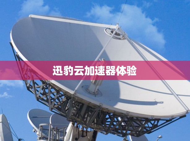 迅豹云加速器体验