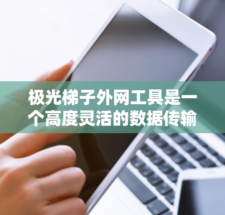 极光梯子外网工具是一个高度灵活的数据传输和管理解决方案，专为企业提供高效、安全的跨网络数据交互能力。它结合了先进的数据传输技术和强大的数据处理能力，能够满足复杂的数据管理需求