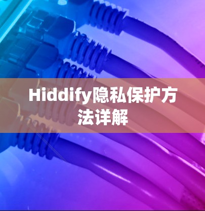 Hiddify隐私保护方法详解
