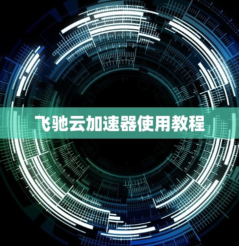 飞驰云加速器使用教程