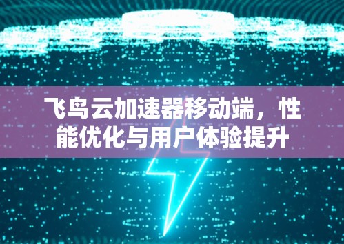 飞鸟云加速器移动端，性能优化与用户体验提升
