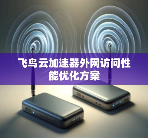 飞鸟云加速器外网访问性能优化方案