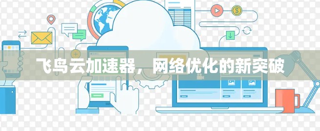 飞鸟云加速器，网络优化的新突破