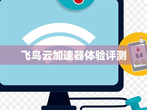 飞鸟云加速器体验评测