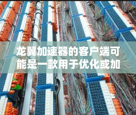 龙翼加速器的客户端可能是一款用于优化或加速某些任务的工具或应用程序。如果你正在寻找龙翼加速器的客户端，以下是一些可能的方法来获取或设置它