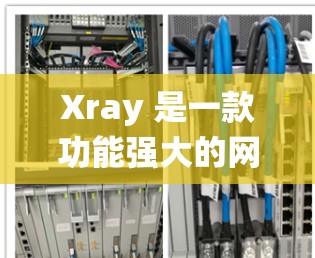 Xray 是一款功能强大的网络安全工具，用于发现网络中的安全漏洞。对于 Xray 客户端的推荐，可以根据你的需求和操作系统选择合适的客户端。以下是一些常见的操作系统对应的 Xray 客户端推荐
