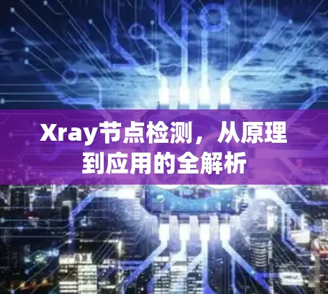 Xray节点检测，从原理到应用的全解析