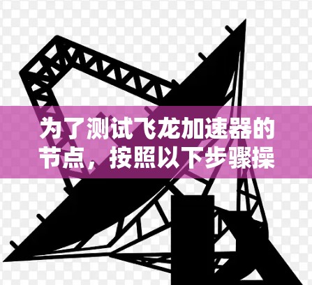 为了测试飞龙加速器的节点，按照以下步骤操作