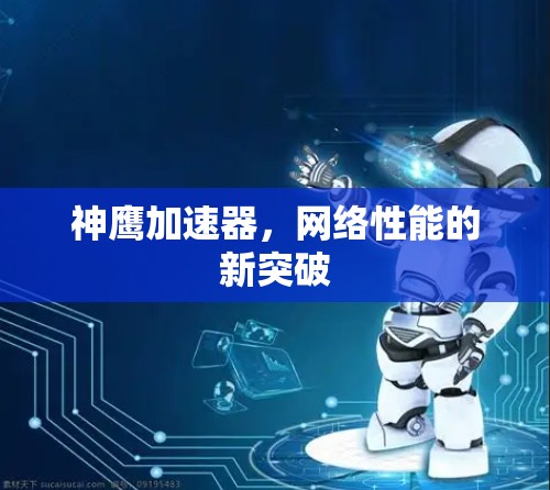 神鹰加速器，网络性能的新突破