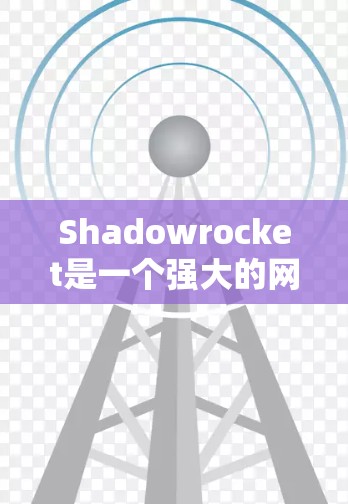 Shadowrocket是一个强大的网络流量分析工具，主要用于检测和分析网络流量中的恶意行为。以下是对Shadowrocket的详细介绍