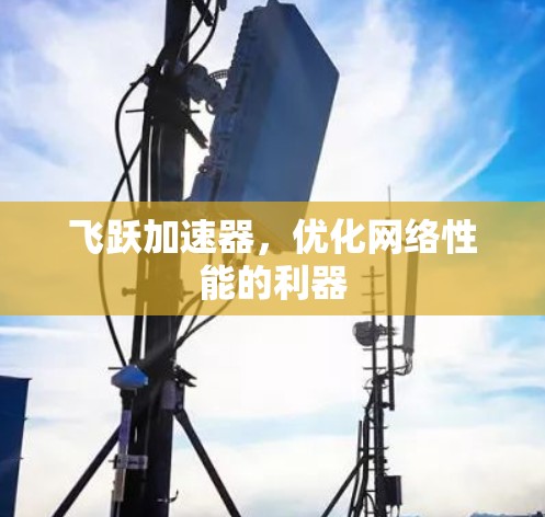 飞跃加速器，优化网络性能的利器