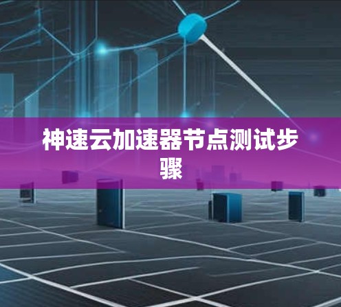 神速云加速器节点测试步骤